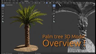 Palm Tree video thumbnail