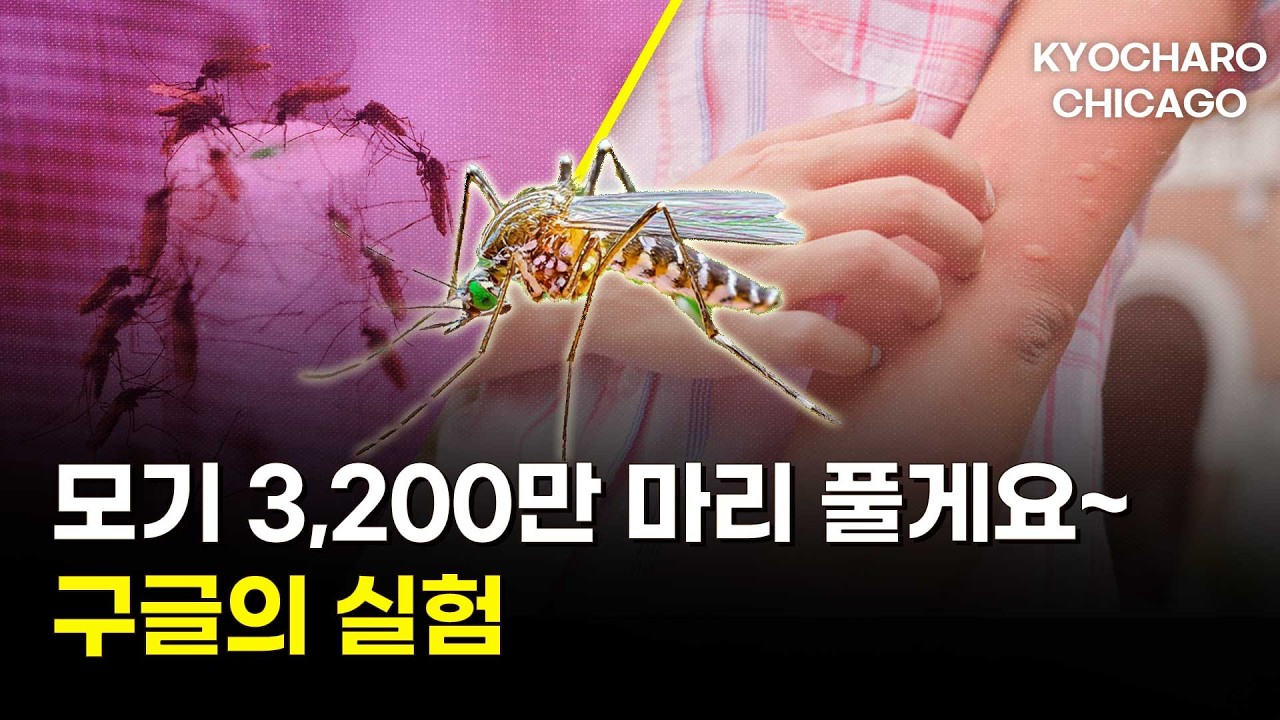 [시카고 교차로] 실종 여성 시신 발견 충격…구글이 모기 3,200만 마리 푼다, 엡스타인 냉동 정자 논란, 전자담배 경고