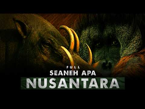 Ajaib dan Anehnya Flora & Fauna Nusantara | Full Episode - Teman Tidur