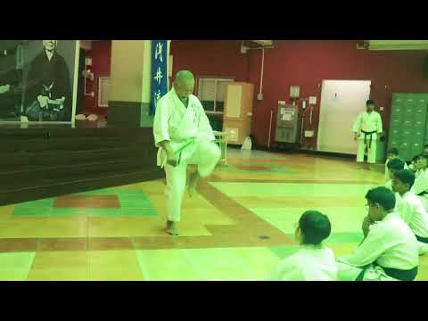 Asai-ryu karate: Karate body exercise, Core muscle strength-Mae geri from one leg squat: Mumbai