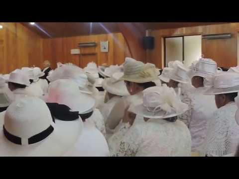 Himi 508- Taliui Sepitema Siasi O Tonga Houeiki Okalani NZ