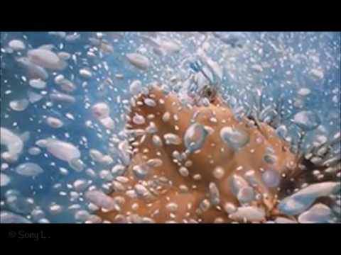 𝓙𝓪𝓷𝒆 𝓧Ø •♡• ᗪᖇᕮᗩᗰS