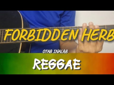 Forbidden Herb | REPAGUITARA Reggae Guitar Tutorial | Otab Inalab 