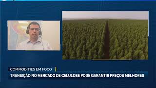 Transição no mercado de celulose pode garantir preços melhores