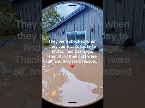 Young family of four lost everything in flood