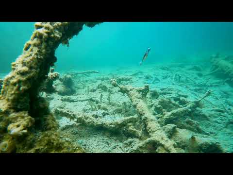 Westin Original Perch 18cm 61g Real Perch