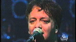 Ween - The Golden Eel