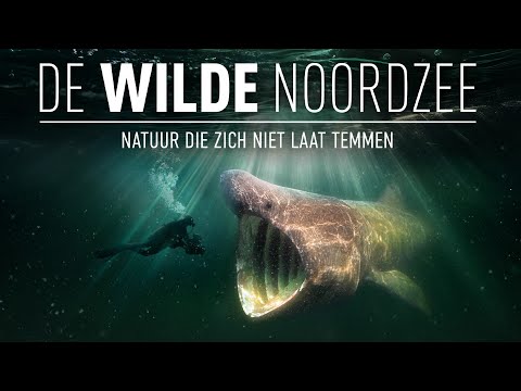 ‘De Wilde Noordzee’ nu in de bioscoop – Sailspecials