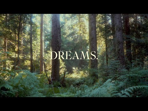 A dreamy piano playlist in the woods