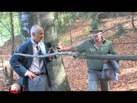 The World of Rotundu - Tisa II Nature Reserve