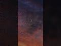 Valam Arijit Singh Song ️ New Aesthetic Status With Lyrics Aesthetic Explore Arijitsingh Song