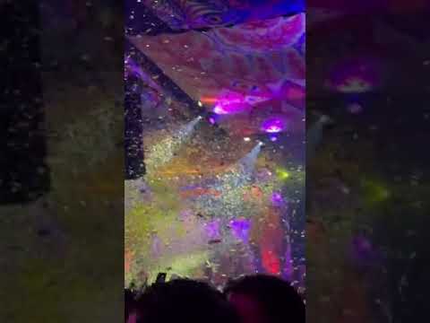 Elrow Sofia - Hallucinarium 2025