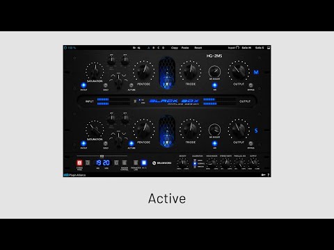 Black Box Analog Design - HG-2MS - Playthrough | Plugin Alliance