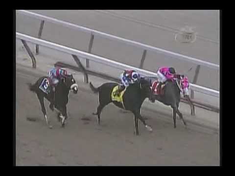 2002 Wood Memorial Stakes - Buddha