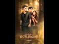 Twilight new moon- hearing damage 