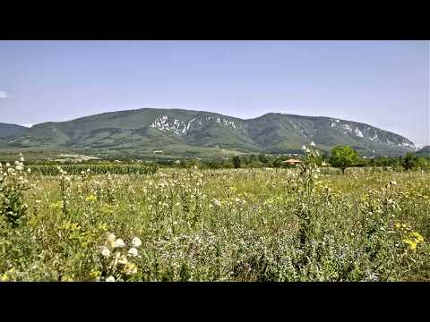 Ansambl Mikana Obradovica - Batuta kolo