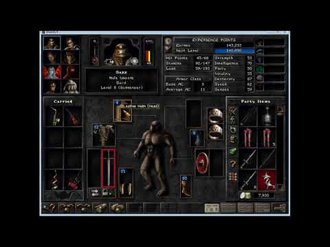 Wizardry 8 Christian Coders Mod 05