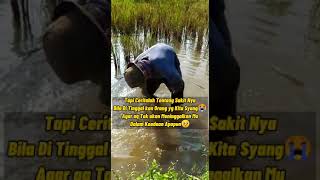 Download lagu cover Arief (Bagai Orang Terbuang) Kata sad mp3 Download lagu cover Arief (Bagai Orang Terbuang) Kata sad mp3