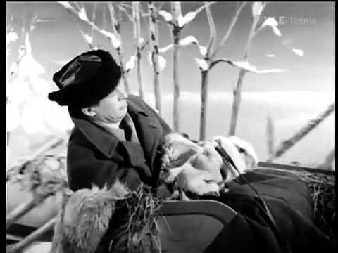 , title : 'Tapio Rautavaara - Juokse sinä humma (1953)'