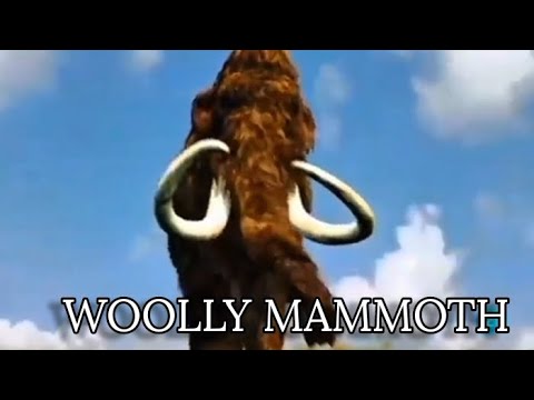 Mammoths: Giants Of The Ice Age [2014] - Woolly Mammoth Screen Time 