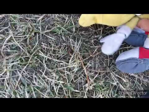 BEHIND THE SCENES - The Sonic Plush Show S1 Chapter 1 Ep.3