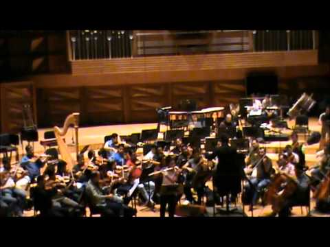 Saverio Mercadante - Concerto in Mi minore per flauto e orchestra - 2. Largo