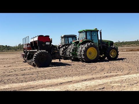 Plantio de arroz em Querência do Norte PR 