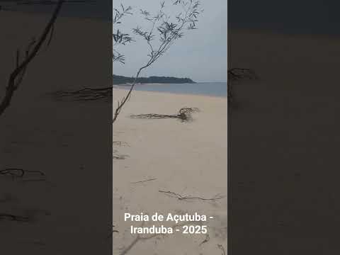 Praia de Açutuba - Iranduba - Manaus - Amazonas - 2025