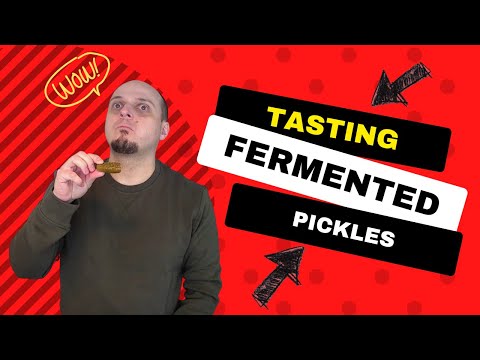 Fermented Pickles - Delicious or Nasty?