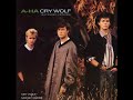 Cry Wolf - A-HA