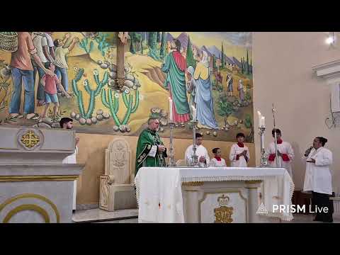 Transmissão ao vivo de Paróquia Nossa Senhora  Conceição de Pedro II-PI