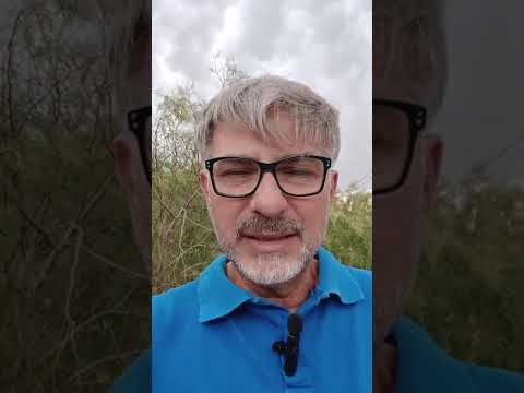 Evangelio del Nuestro Señor Jesucristo Con el Padre Fabian Esteban Oliva.  16/01/26