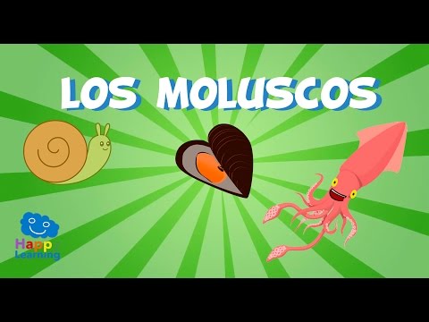 Los Moluscos | Videos Educativos para Niños