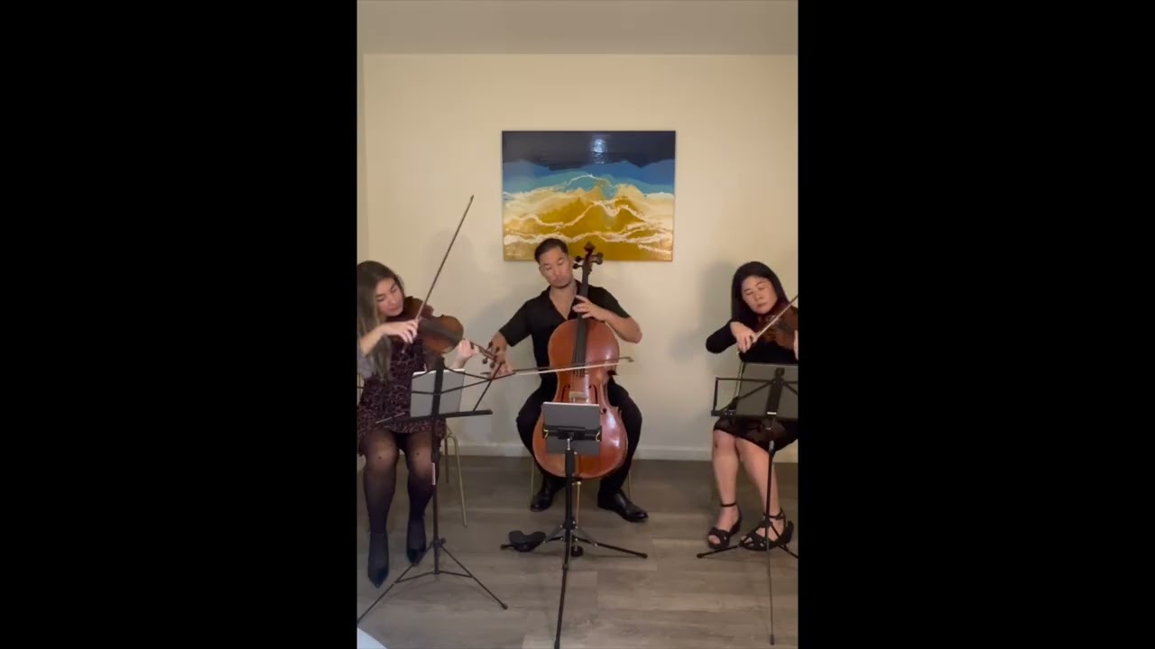 Promotional video thumbnail 3 for Aristo Strings NYC