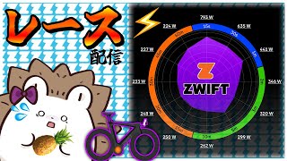 大会前の刺激入れ！サボり鈍った脚を呼び覚ます【Zwift】