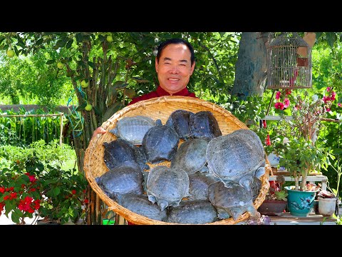 World’s Best Soft-Shell Turtle? Braised in a Mountain of Chili for Spicy Lovers| Uncle Rural Gourmet