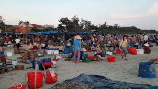 Vinh Tay Hot Boy. Quang Nam 2020. Biển và Bác Ngư Dân 