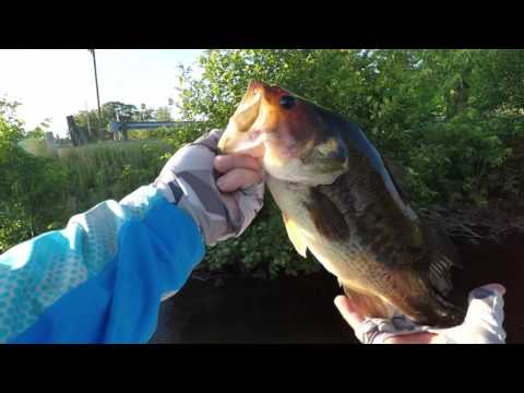 image-How is the fishing in Lake DuBay?