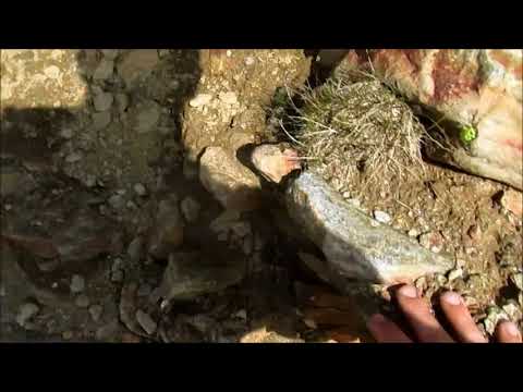 Die Kreuzspitze im Ötztal