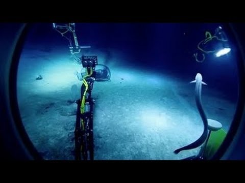 Journey to the Deep with James Cameron - Nierenberg Prize 2013