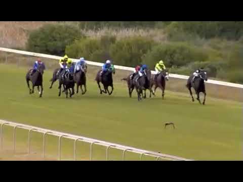 Zanadu - Kenilworth 24/4/19