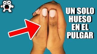 Personas Con Características EXTRAÑAS Con Las Que Solo Pocas Nacen