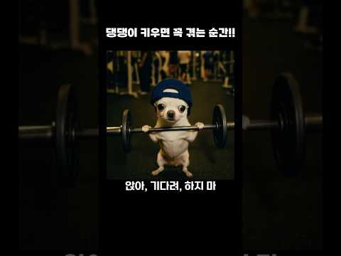 『금쪽같은 우리댕댕이, 견생역전 프로젝트』(최인영, 지니의서재)