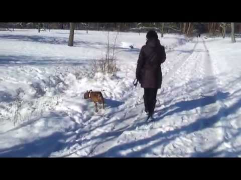 Februar. Germany. 2013