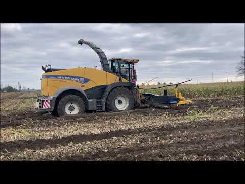 Loonwerken Vereecke uit Hooglede mais hakselen met hun New Holland FR 650!