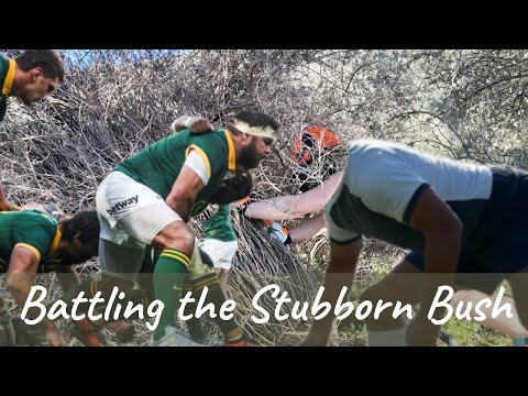Unveiling Our Valley View: Jem vs. the Stubborn Bush