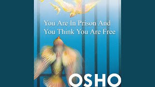 You Are in Prison &amp; You Think You Are Free