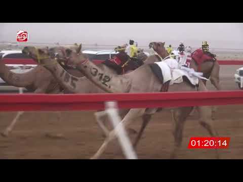  ش 11 (مزون) لـ مبارك احمد الدحبه العامري 2:54 ، شارة الصندوق 2026/08/16 فطامين الروضة
