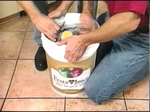 download lagu mp3 mp4 Festa Grape Juice, download lagu Festa Grape Juice gratis, unduh video klip Festa Grape Juice