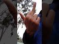 FUCK SCHOOL
